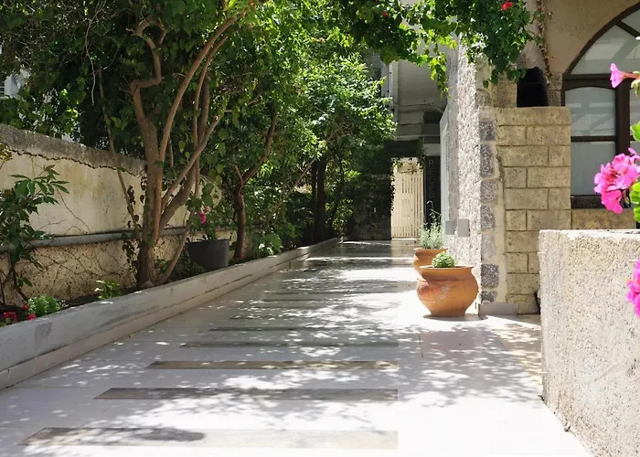 Aspa Holidays Kos Town